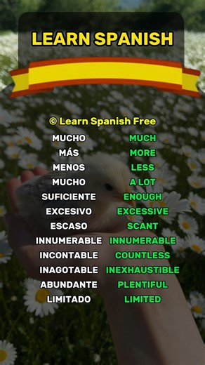 Learn Spanish Free Beginner in Spanish? Subscribe to level up fast! #spanishquiz #learnspanish #LearnSpanish #easyspanish #spanishlessons | Learn Spanish Free