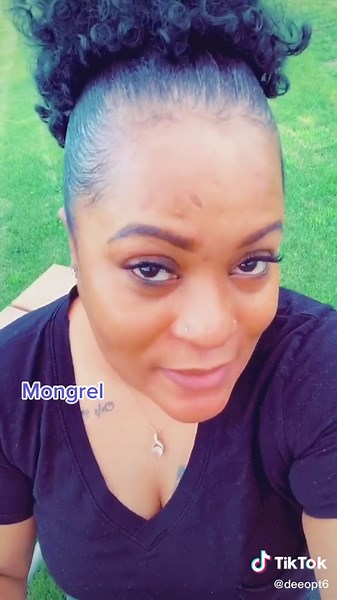 Exploring Mongrels: The Heart of Jamaican Dog Culture