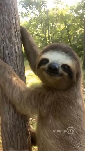 Never going to the zoo again 🙄 #fblifestyle #zoo #animals | Qbanguy