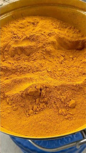 Grinding Dried Turmeric into Fine Powder💛 #turmeric #grind #turmericpowder #organic #shorts #viral