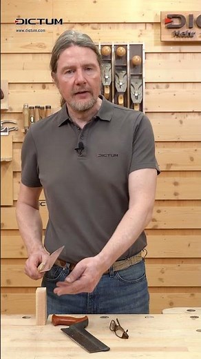 Wo setze ich die Säge an? So gelingt der Sägeschnitt #dictum