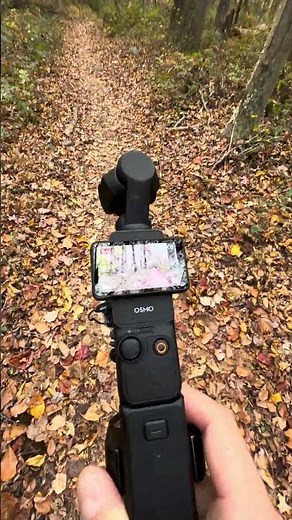 Recording Pure Forest Sounds in 4K | Relaxing Nature ASMR with Stream and Birds 🍃