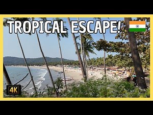 Exploring Palolem Beach, Goa – India's Hidden Tropical Paradise 🌴🇮🇳