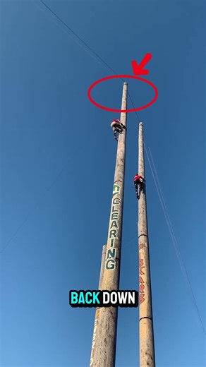 Speed Climbing! Turbo Tom in Professional Timbersports Action