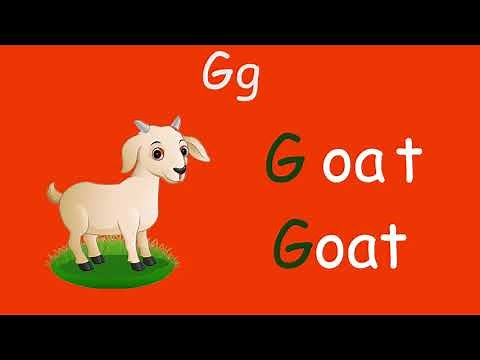 The Letter G | Learn the Alphabet | Identify Pictures and Read Words | Letter "G" Sound| Phonics.