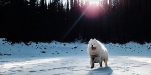 7 Tips for Making Your Smartphone Cinematography More Cinematic