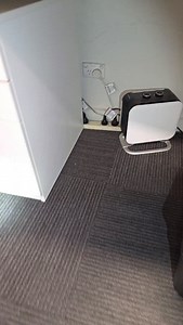 3.2K views · 2.1K reactions | RED BELLIED BLACK SNAKE IN SCHOOL OFFICE In Bundoora, the school cleaner saw a snake amd ran out of the building. Calling in The Snake Hunter, Star the border collie was searching and found this red bellied black hiding near where the secretary's feet usually sit. the snake has been safely returned to the wild #australiansnake #snakehunter #snake #snakecatcher #redbelliedblacksnake | The Snake Hunter | Facebook