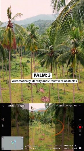 DJI Air 3S Obstacle Avoidance Test — Ultimate Palm Tree Challenge (Guess How Many It Detects!)