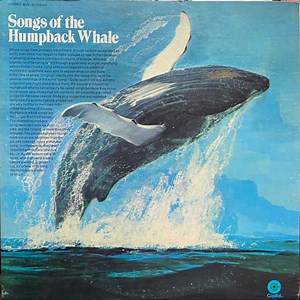 Humpback Whale - Songs Of The Humpback Whale