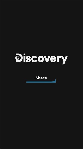 At over 20 feet long, this female great white shark left even the most seasoned explorers stunned.​ Because once you’ve seen the queen of the deep... you don’t forget her.​ ​ What started as whispers and sonar readings turned into one of the most unforgettable underwater encounters ever caught on film.​ This wasn’t a tall tale.​ It was Discovery.​ ​ #Discovery #DiscoverySEA #DiscoveryChannel #DiscoveryChannelSEA #Discoevry40 #SouthEastAsia #40YearsOfDiscovery | Discovery Channel Southeast Asia