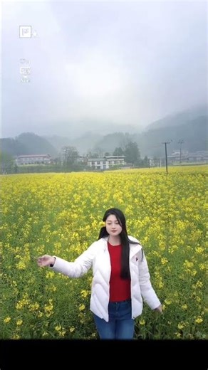 花开时节你会来吗？别错过油菜花海拍照时光