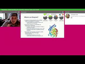 Terpenes Understanding the Genetics Behind Taste and Smell