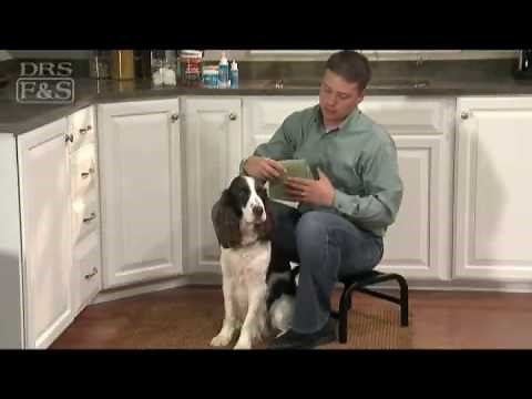 How to Clean Your Dog's Ears (DrsFosterSmith)