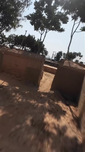 Born Aviation 🪽 on Instagram: "FLY LIKE A BEE 🐝"