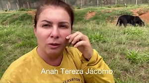 Dia 29 de novembro, dia Nacional da Onça Pintada. Vamos refletir sobre nossas responsabilidades. Vamos estar atentos! #luciaverissimo #iop #institutooncapintada #anahterezajacomo #leandrosilveira #preserve #dianacionaldaoncapintada #reflexão #jaguar | LÚCIA VERÍSSIMO