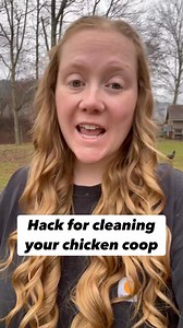 101K views · 820 reactions | Chicken coop cleaning hack. #chickens #backyardchickens #poultry #crazychickenlady #homesteader #farmlife #countryliving #selfsufficiency #urbanhomestead #farmanimals #homestead #theeastonhomestead | Hannah Easton | Facebook