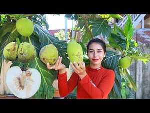 Fresh breadfruit in my countryside and cook food - Polin lifestyle