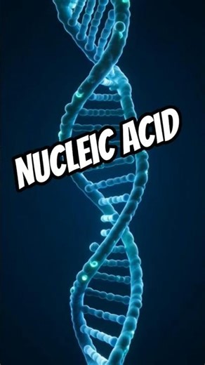 Nucleic Acid – Detailed Explanation + 3D Animation