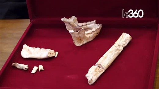 Archéologie : des fossiles de type Homo erectus, vieux de 773.000 ans, découverts à Casablanca | Le360