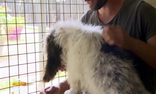 Animaux à adopter - Ursula et Donald