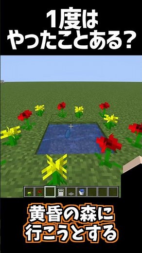 初心者なら1度はやったことある?【マインクラフト】