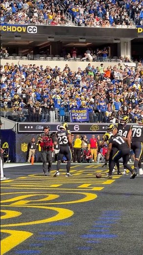 Kyren adds 6 or 7 points to the board!! #rams #nfl #shorts