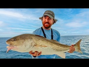 Saltwater Fishing Tips for Fall 2024: Spots, Lures, and Tactics