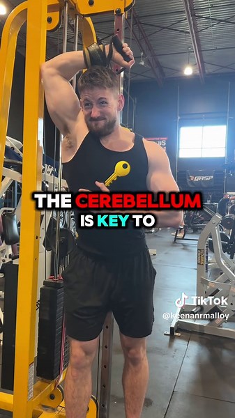 Understanding the Role of the Cerebellum in Movement Control