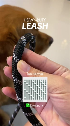 Durable Dog Leash with Foam Padded Handles