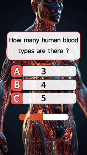 Human Body Vocabulary for Kids | English Quiz | Learn English with ERES Online