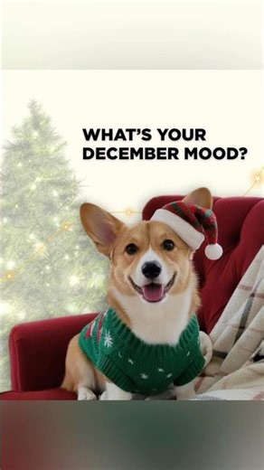 А який у вас новорічний настрій цього року? ✨🎄