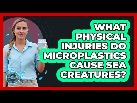 What Physical Injuries Do Microplastics Cause Sea Creatures?