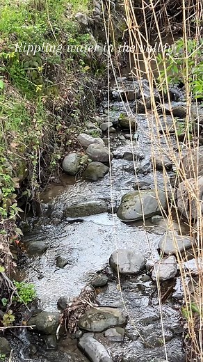 Rippling water in the valley#usa🇺🇸 #nature #hiking | AsiaAmerica Li