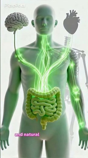 What Happens Inside Your Body When You Eat an Apple 🍎 | Amazing Health Benefits!