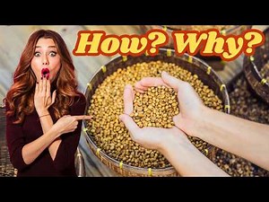 12 Bizarre FACTS You Never Learned in School!