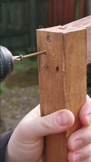 *DIY PROJECT / bird feeder pole* 🐦🛠️✨🔨 #tipsandtricks #howto #diy #diyprojects