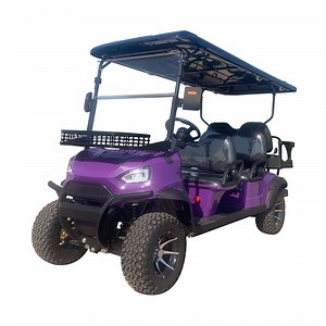 [Hot Item] New Energy Lithium Battery Gasoline Hunting Buggies 4/6 Seater Utility Trolley Golf Course Golf Hunting AC Motor Wheel Electric Tourist Sightseeing Golf Cart