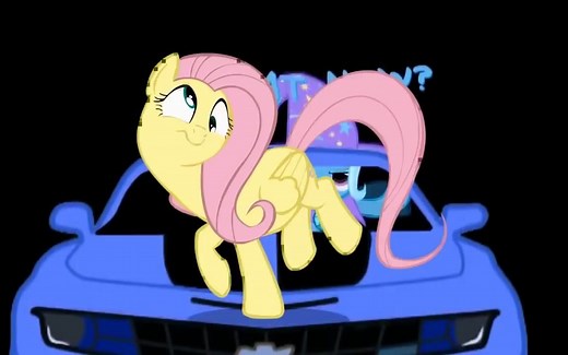 珍贵2012年小马梗合集 PONYFAD