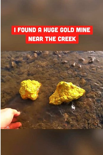 Treasure Hunting ProX on TikTok