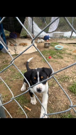 A photo dump with all my odd pics 🤩 | Emily F Thompson