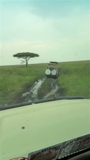 Mud bogging in the Serengeti National Park