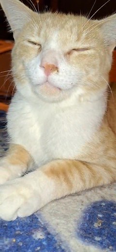 11 reactions · 5 comments | Simbas appointment with Dr. Hamilton is...