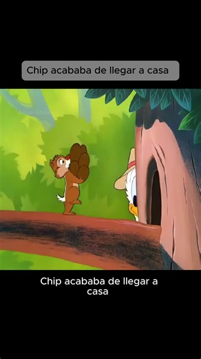 Exploring the World of Anime and Cartoons