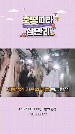 🐖 돼지고기 등급, 이렇게 판정됩니다_축평따라삼만리 EP.4 [돼지 편]