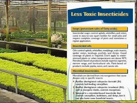 Integrated Pest Management (IPM) in the Nursery