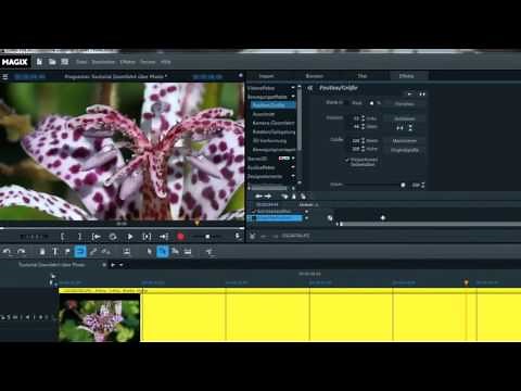 Tutorial zur Erstellung einer Zoomfahrt über ein Photo in Magix VDL / ProX