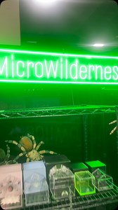 All set for the Salt Lake City! Check out the spread we brought up from SoCal! | Micro Wilderness