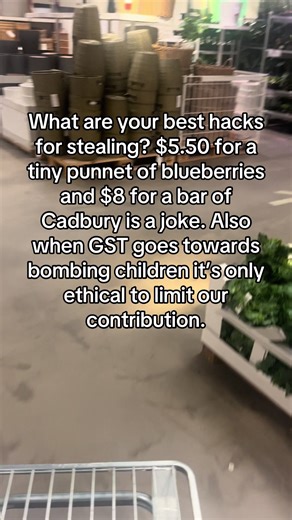 Self-Checkout Shopping Hacks and Price Gouging Insights