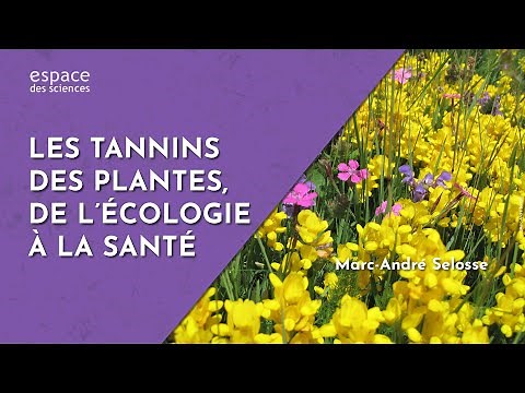 🍂 [Marc-André Selosse] Les tannins des plantes, de l’écologie à la santé