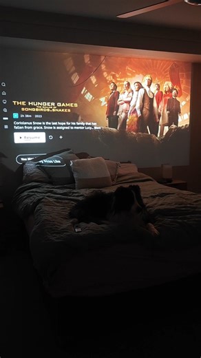 A while back I set my projector up in the bedroom and now Panda and I have snuggly movie nights when we are too lazy to game 🥰🎥🍿🐶 . . #cozy #movienight #movie #homecinema #projector #cozymoments #doggo #bordercollie #gamerlife #instagamer #setup #bedroom #movietime #movielover #cozyvibes #cozyhome | The Scarlette Gamer